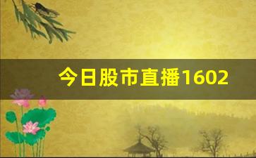 今日股市直播160216(今日股市直播回放)_https://www.shshucaipeisong.com_创业板_第1张