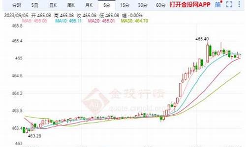 今日金价沪金主力指数指标_今日金价沪金主力指数指标是什么