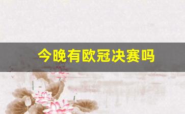 今晚有欧冠决赛吗-今晚有欧洲杯决赛吗