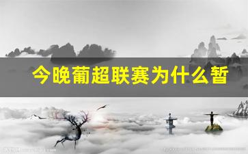 今晚葡超联赛为什么暂停-葡超联赛多少场