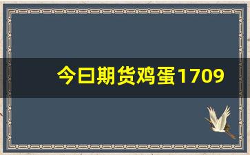 今曰期货鸡蛋1709行情(今曰鸡蛋期货价挌走势)_https://www.jyywjc.com_股票行情_第1张