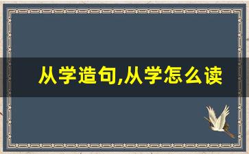 从学造句,从学怎么读,从学的意思,从学的组词-第1张图片-我的生活随想