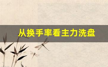 从换手率看主力洗盘(换手率看洗盘还是出货)_https://www.heiljjianzu.com_深交所_第1张