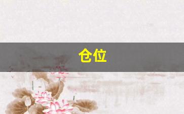 仓位(仓位等级T是什么仓)_https://www.haiwangdasha.com_中金所_第1张