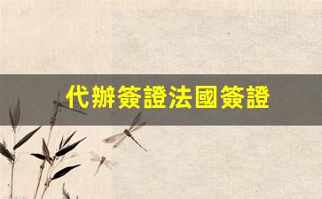 代辦簽證法國簽證(代辦簽證的機構(gòu))