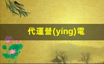 代運營(yíng)電商平臺公司插圖
