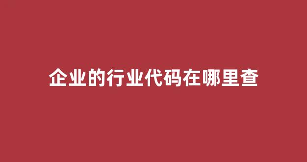 企业的行业代码在哪里查(企业行业代码查询)_https://www.brunchezvous.com_旅游攻略_第1张