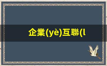 企業(yè)互聯(lián)網(wǎng)運營(yíng)能力插圖