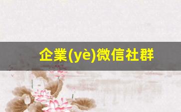 企業(yè)微信社群運營(yíng)方案插圖
