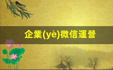 企業(yè)微信運營(yíng)策略插圖
