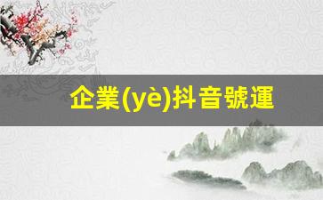 企業(yè)抖音號運營(yíng)方案插圖