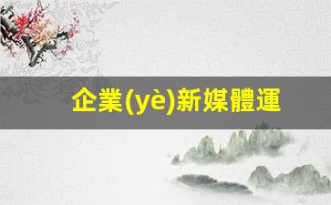 企業(yè)新媒體運營(yíng)方案插圖