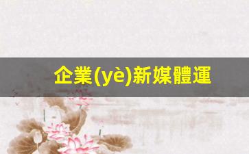 企業(yè)新媒體運營(yíng)案例插圖