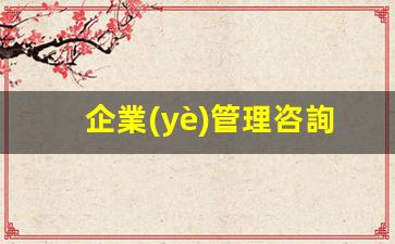 企業(yè)管理咨詢(xún)公司運營(yíng)方案插圖