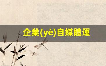 企業(yè)自媒體運營(yíng)計劃插圖