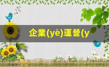 企業(yè)運營(yíng)詳細的內容包括插圖