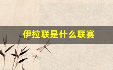 伊拉联是什么联赛-伊拉克足球联赛