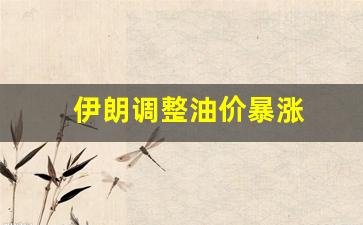 伊朗调整油价暴涨-伊朗油价上涨百城抗议