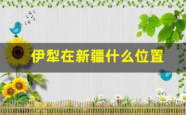 伊犁在新疆什么位置_伊犁在新疆什么位置地图