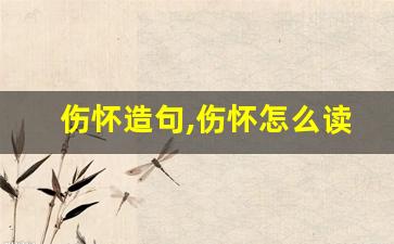 伤怀造句,伤怀怎么读,伤怀的意思,伤怀的组词-第1张图片-我的生活随想