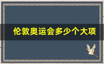 伦敦奥运会多少个大项-伦敦奥运会一共多少枚金牌