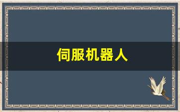 伺服机器人(伺服机器人属于决策支持系统吗)_https://www.gfdzclz.com_科创板_第1张