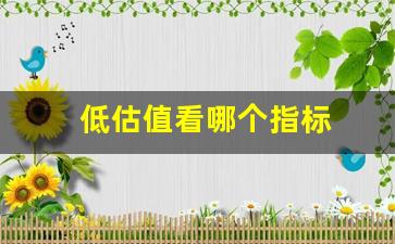 低估值看哪个指标(低估值指标公式)_https://www.qldgs.com_原油期货_第1张