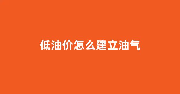 低油价怎么建立油气_低油价怎么建立油气供应链