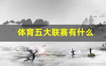 体育五大联赛有什么-体育五大联赛是指