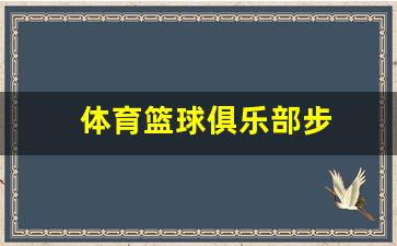篮球俱乐部训练视频-体育篮球俱乐部步