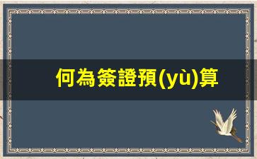 何為簽證預(yù)算(簽證是預(yù)算員負(fù)責(zé)嗎)