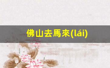 佛山去馬來(lái)西亞簽證怎么辦(佛山到馬來(lái)西亞的物流)