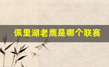 佩里湖老鹰是哪个联赛-佩里湖老鹰是哪个联赛冠军