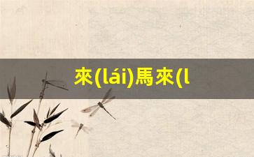 來(lái)馬來(lái)西亞旅游簽證怎么辦(馬來(lái)西亞旅游簽?zāi)艽魩滋?