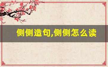 侧侧造句,侧侧怎么读,侧侧的意思,侧侧的组词-第1张图片-我的生活随想