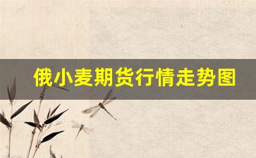 俄小麦期货行情走势图片(芝加哥小麦期货行情走势)_https://www.gdbxwh.com_天猫运营_第1张