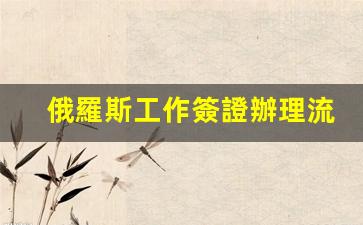俄羅斯工作簽證辦理流程(俄羅斯工作簽證辦理流程視頻)