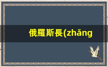 俄羅斯長(zhǎng)期簽證審批時(shí)長(zhǎng)及辦理難度解析