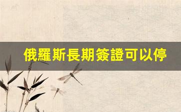 俄羅斯長期簽證可以停留多久(俄羅斯簽證能呆多久)