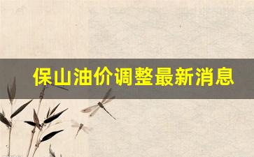 保山今日油价92汽油-保山油价调整最新消息