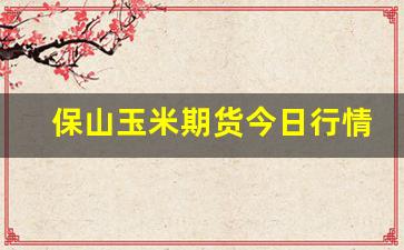 保山玉米期货今日行情(保山玉米价格今日价)_https://www.gfdzclz.com_上交所_第1张