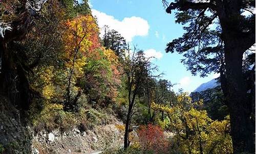 保山高黎贡山旅游攻略_保山高黎贡山旅游度假区