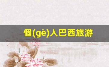 巴西旅游簽證攻略，揭秘最長(zhǎng)有效期及申請(qǐng)全流程詳解