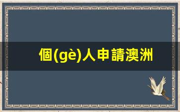 個(gè)人申請澳洲旅游簽證需要什么(自己申請澳洲簽證)