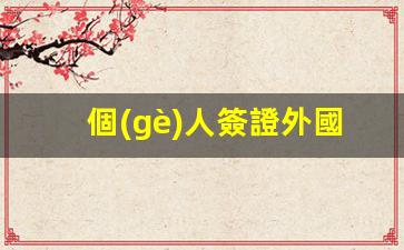 個(gè)人簽證外國(guó)簽證入住(外國(guó)人旅游簽證)