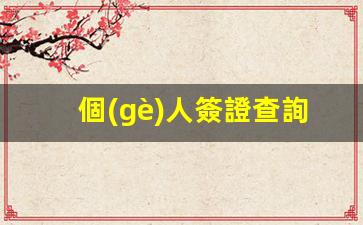 個(gè)人簽證查詢中心，一站式服務(wù)，實(shí)時(shí)掌握簽證進(jìn)度詳情
