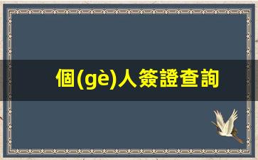 個(gè)人簽證查詢中心進(jìn)度(簽證查詢進(jìn)度查詢)