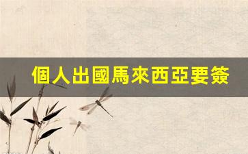 個人出國馬來西亞要簽證嗎(出國馬來西亞需要辦什么手續(xù))