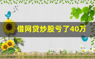 借网贷炒股亏了40万无法还款(借网贷炒股亏了40万无法还款会坐牢吗)_https://www.haiwangdasha.com_深交所_第1张