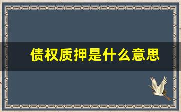 债权质押是什么意思(债权转股权是什么意思)_https://www.nalian8.com_北交所_第1张